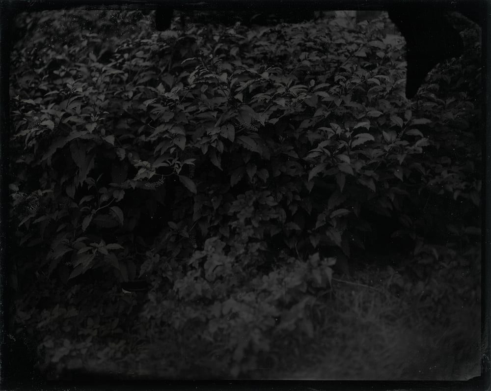 ab_07.jpg