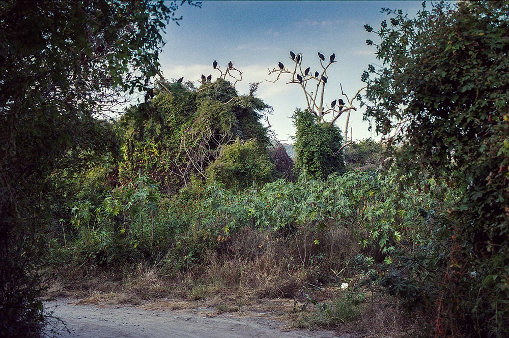 road-to-la-leche.jpg
