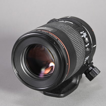 Sigma 150-600mm f5-6.3 DG Sports Lens for Canon EF | Blue Moon Camera