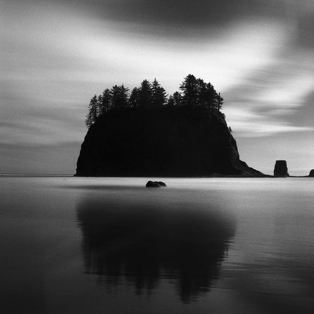 Rollei RPX 400 ISO Film - 120