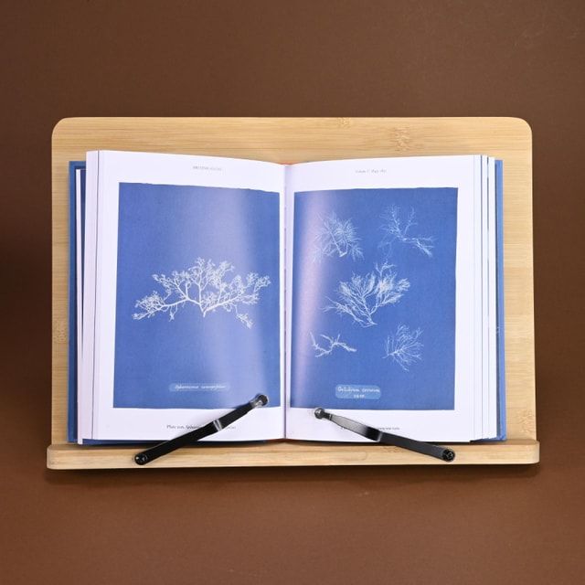 Anna Atkins - Cyanotypes