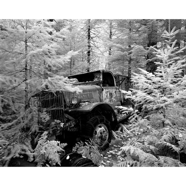 Rollei Infrared 400 ISO 4x5 Film - 25 sheets