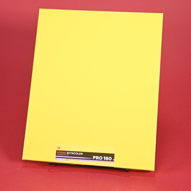 Kodak Ektacolor Pro 160 8x10 Film - 10 Sheets