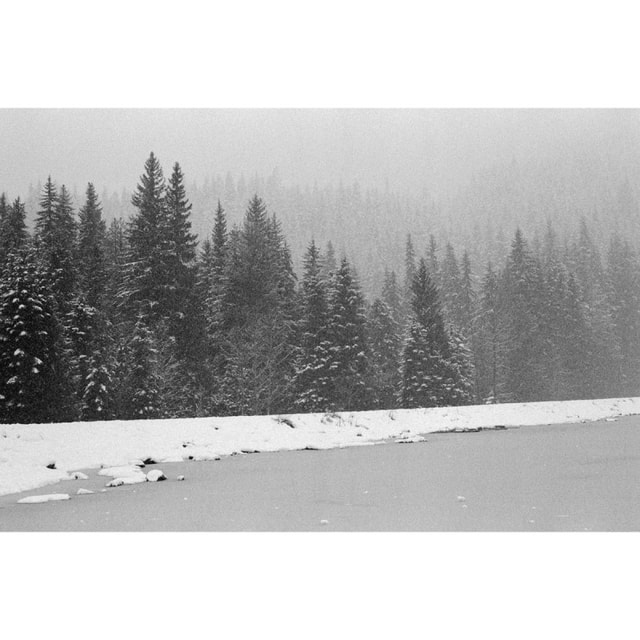 Lomography Berlin 400 Kino Film - 36 Exposures