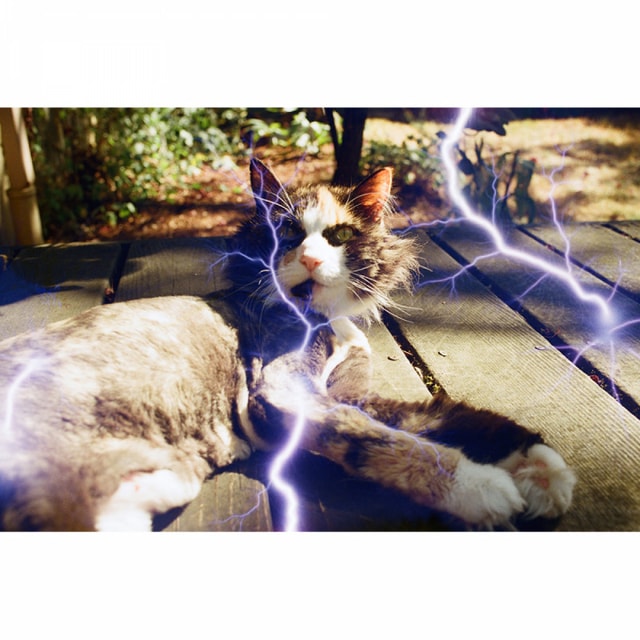 Revolog Tesla 1 Experimental Film - 36 Exposures