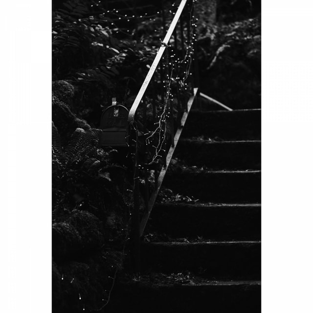 Ilford Pan F+ 35mm Film - 36 Exposures