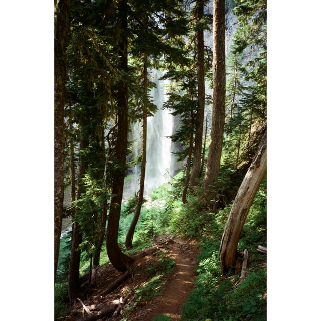 Cinestill 400D Film - 35mm