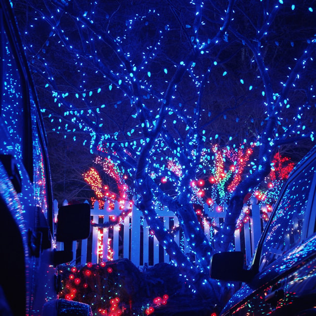 Cinestill 800T Color Film - 120