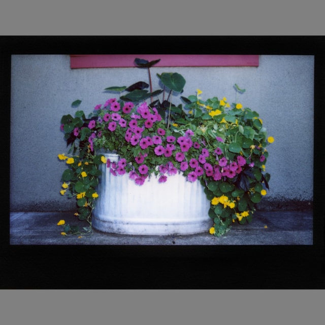 Fuji Instax Wide Black Border Film - 10 Pack
