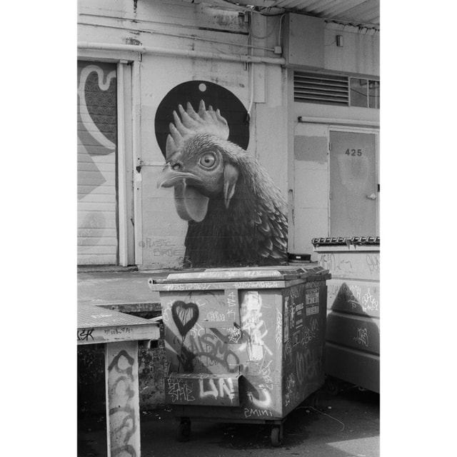 Rollei RPX 400 ISO 35mm Film - 36 Exposures