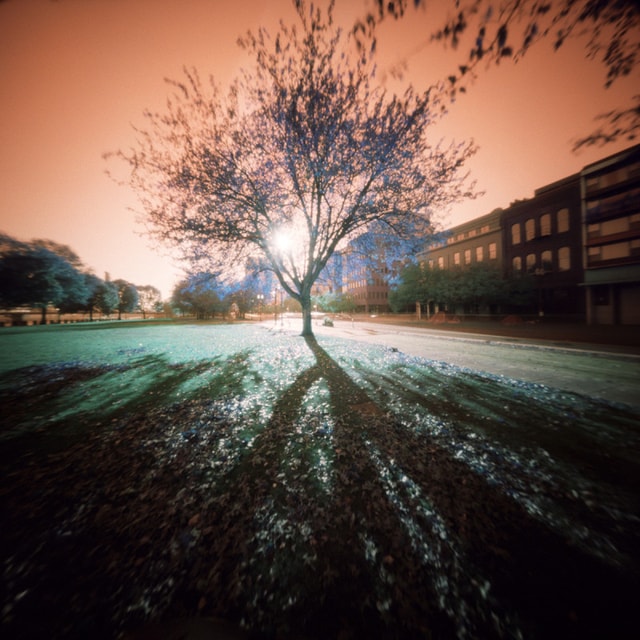 Lomography Lomochrome Turquoise XR 100-400 Film - 120