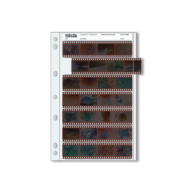 Print File 35-7B4 35mm Negative Preserver Pages - 25 sheets