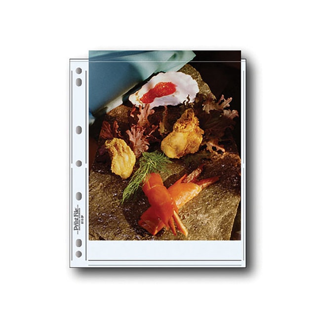 Print File 810-2P Print Preserver Page - 25 sheets