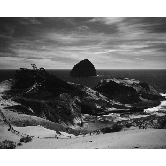 Eastman Kodak Tri-X 320 4x5 Film - 10 Sheets