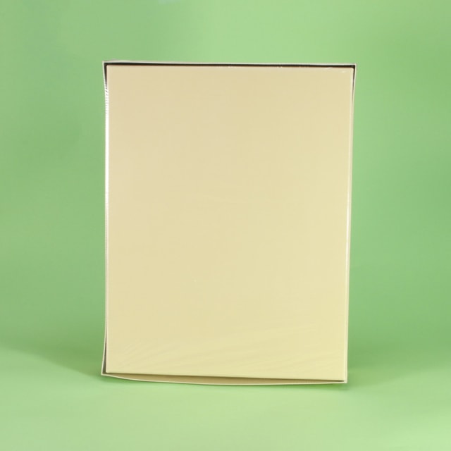 Print File Archival Tan Storage Box - 12x15