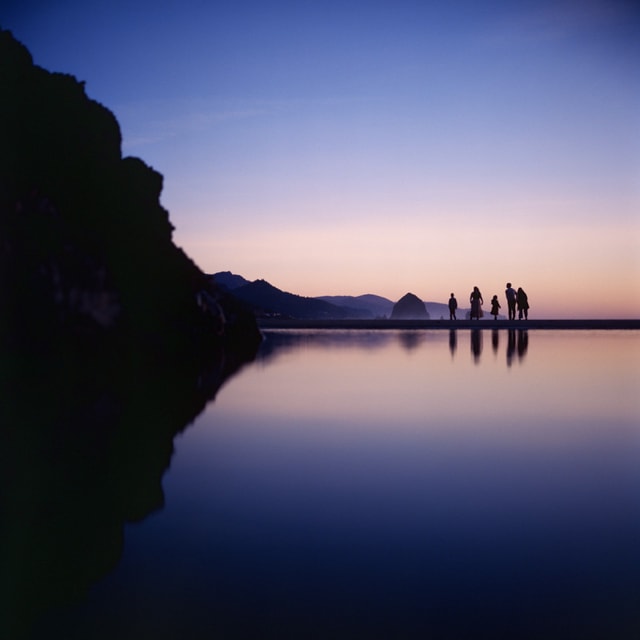 Eastman Kodak Ektachrome E100 Film - 120 Single Roll