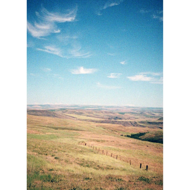 Spy Film for MINOX - Color 400 ISO 36 Exposures