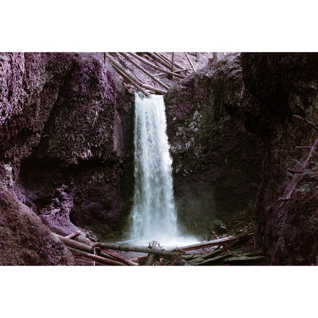 Lomography Lomochrome Purple XR Petillant Edition 35mm Film - 36 exp