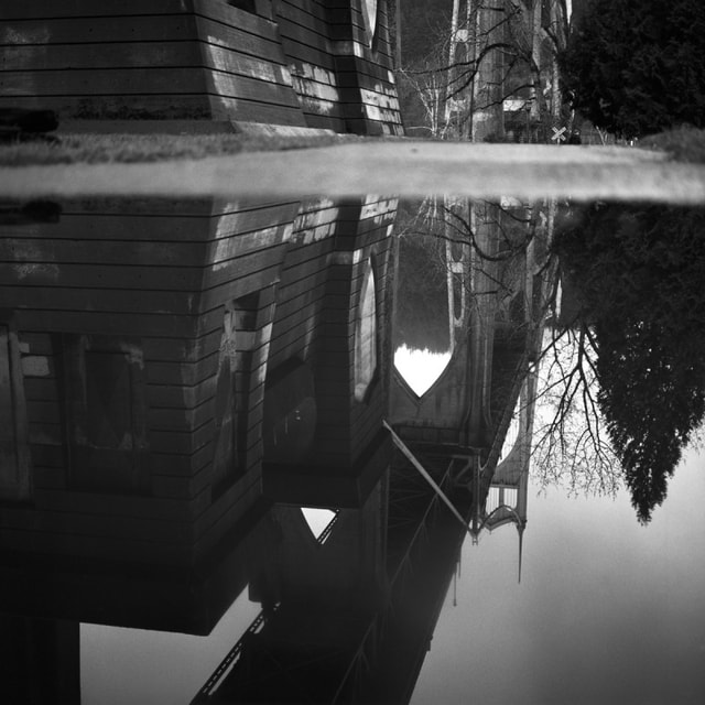 Ilford Pan F+ Film - 120