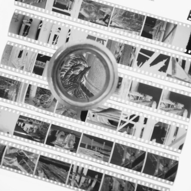 Archival sleeving of 35mm negatives in 5s